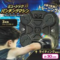 【ブラック】ミュージックパンチングマシン