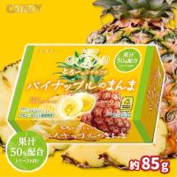 【パイナップル】フルーツのまんまよくばりＢＯＸ【賞味期限：2027/05/31】