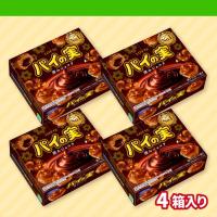【深みショコラ】パイの実 4箱セット【賞味期限：2027/03/31】