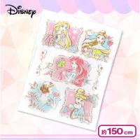 【プリンセス】ディズニー タオルケットBIG
