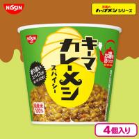 【キーマカレー】日清カレーメシ　4個セット【賞味期限：2026/11/01】