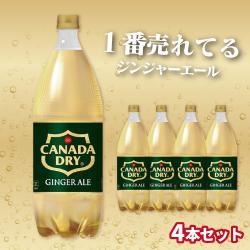 ジンジャーエール1.5L×4本セット