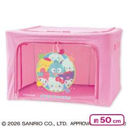 サンリオキャラクターズ ぷにきゅきゅ窓付き収納ボックス