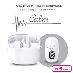 ノイズキャンセリングTWSイヤホン Calm