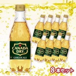 ジンジャーエール 500ml×８本セット