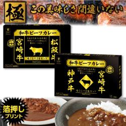 日本一の和牛カレー　味くらべＢＩＧＢＯＸ２種