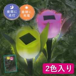 チューリップライト2色セット
