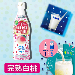 カルピス　完熟白桃