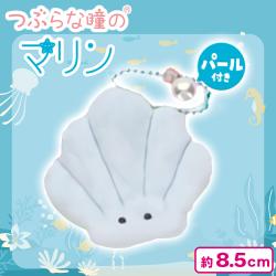 【かい:あお】つぶらな瞳のマリン