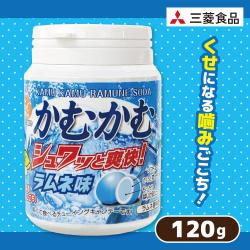 【ラムネ】かむかむフルーツボトル 【賞味期限：2026/01/30】