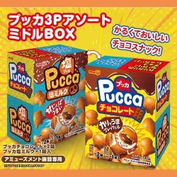 プッカ3PアソートミドルBOX【賞味期限：2026/02/28】