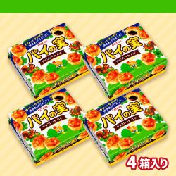 パイの実 4箱セット【賞味期限：2026/07/31】