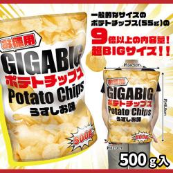 お徳用GIGA BIGポテトチップス大袋500g【賞味期限：2026/09/30】