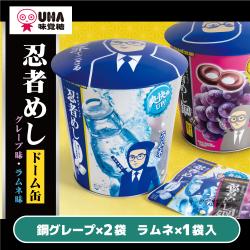忍者めしドーム缶【賞味期限：2027/02/28】