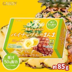 【パイナップル】フルーツのまんまよくばりＢＯＸ【賞味期限：2027/05/31】