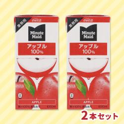 ミニッツメイド　アップル 業務用１Ｌサイズ【賞味期限：2027/01/01】