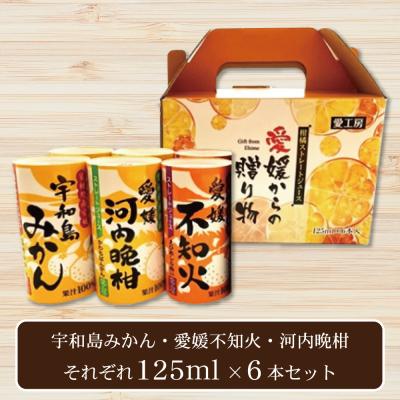 愛媛県産ジュース3種6本セット | オンラインクレーンゲーム「アラクレ」