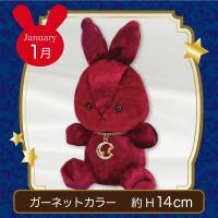 【誕生月・1月】Happy Birth color　Rabbit〜Moon〜