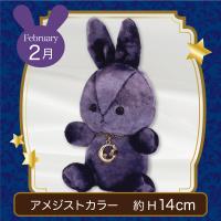 【誕生月・2月】Happy Birth color　Rabbit〜Moon〜