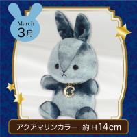 【誕生月・3月】Happy Birth color　Rabbit〜Moon〜