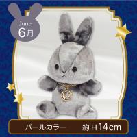 【誕生月・6月】Happy Birth color　Rabbit〜Moon〜