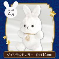 【誕生月・4月】Happy Birth color　Rabbit〜Moon〜