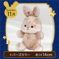 【誕生月・11月】Happy Birth color　Rabbit〜Moon〜