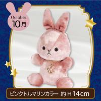 【誕生月・10月】Happy Birth color　Rabbit〜Moon〜