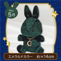 【誕生月・5月】Happy Birth color　Rabbit〜Moon〜