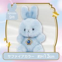 【誕生月・9月】Happy Birthcolor Pastel Rabbit〜Crown〜