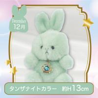 【誕生月・12月】Happy Birthcolor Pastel Rabbit〜Crown〜