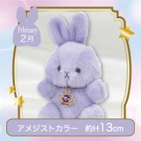 【誕生月・2月】Happy Birthcolor Pastel Rabbit〜Crown〜