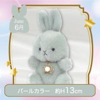 【誕生月・6月】Happy Birthcolor Pastel Rabbit〜Crown〜