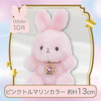 【誕生月・10月】Happy Birthcolor Pastel Rabbit〜Crown〜