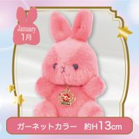 【誕生月・1月】Happy Birthcolor Pastel Rabbit〜Crown〜