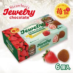 【ティラミスチョコレート】ストロベリージュエリーチョコレートお手頃BOX【賞味期限:2026/05/31】