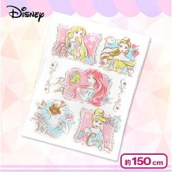【プリンセス】ディズニー タオルケットBIG
