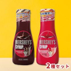 ハーシー チョコ&ストロベリーシロップ【賞味期限:2027/04/25】